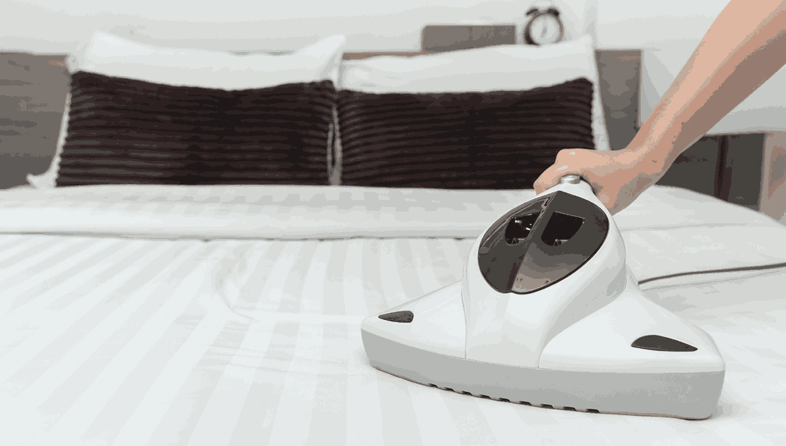 Professional Mattress Cleaning Plumpton
